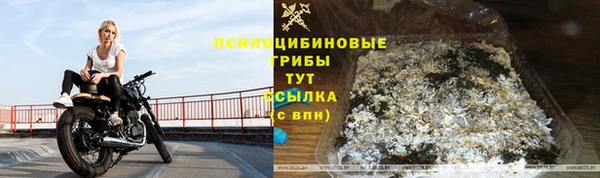 гидропоника Бугульма