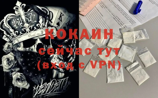 крисы Бородино