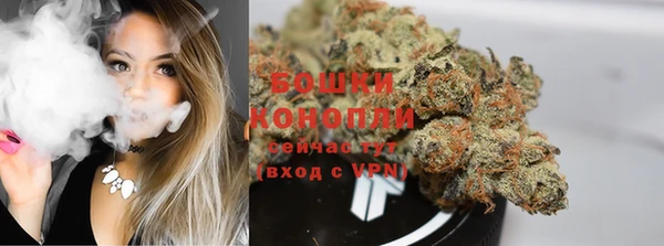 молекула духа Бронницы