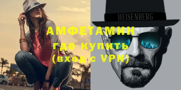 крисы Бородино
