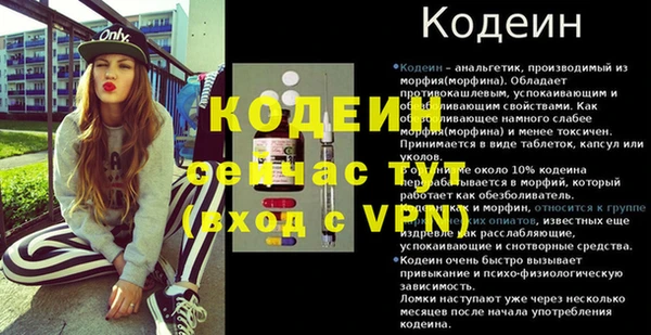 молекула духа Бронницы