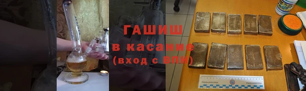 крисы Бородино