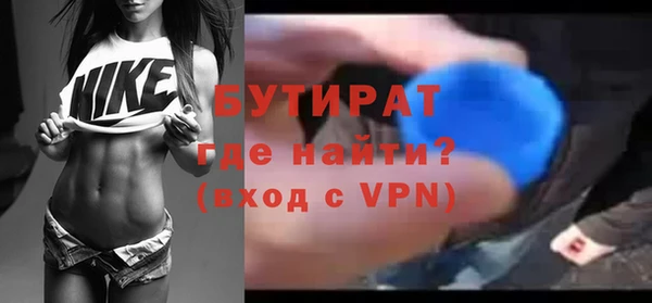 крисы Бородино
