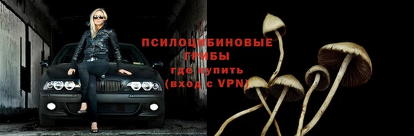 крисы Бородино