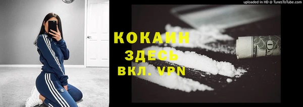 крисы Бородино