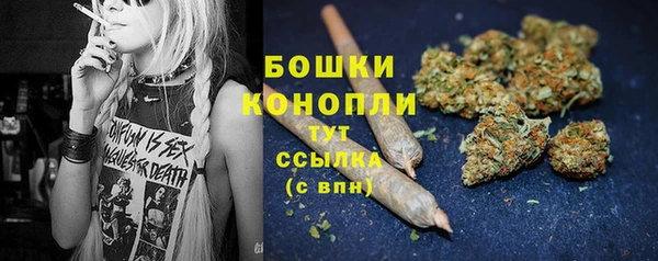 крисы Бородино