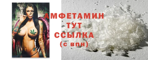 крисы Бородино