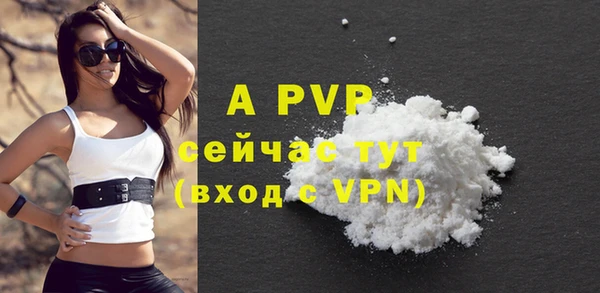 молекула духа Бронницы