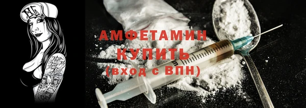крисы Бородино