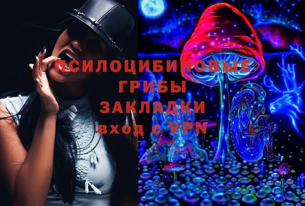 крисы Бородино